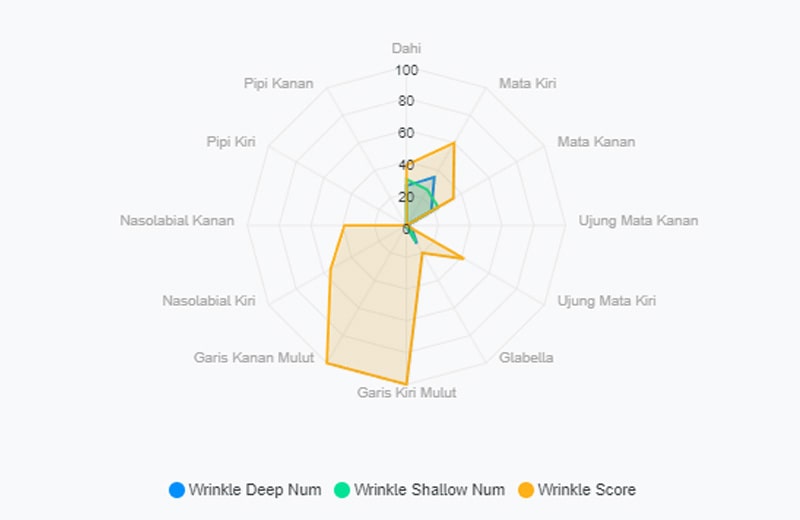 SkinDX Analysis Cek Kulit Wajah Online